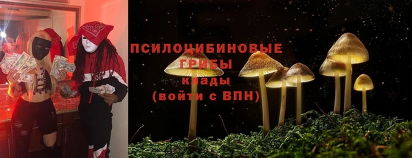 спайс Мегион