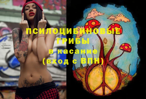 спайс Мегион
