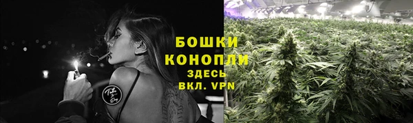 спайс Мегион