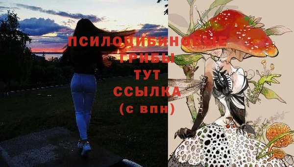 мяу мяу кристалл Медвежьегорск