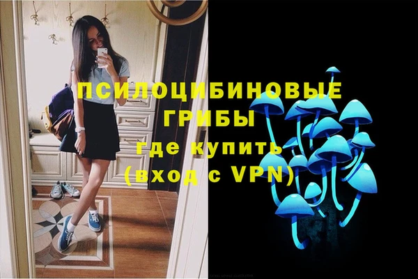 спайс Мегион
