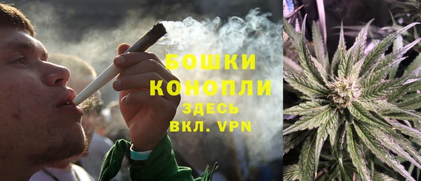индика Магас