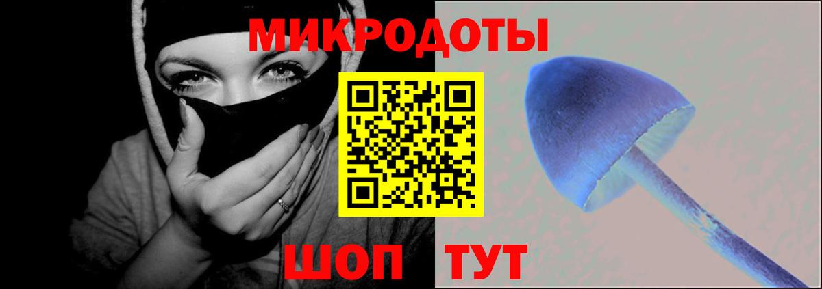 Галлюциногенные грибы прущие грибы Нальчик